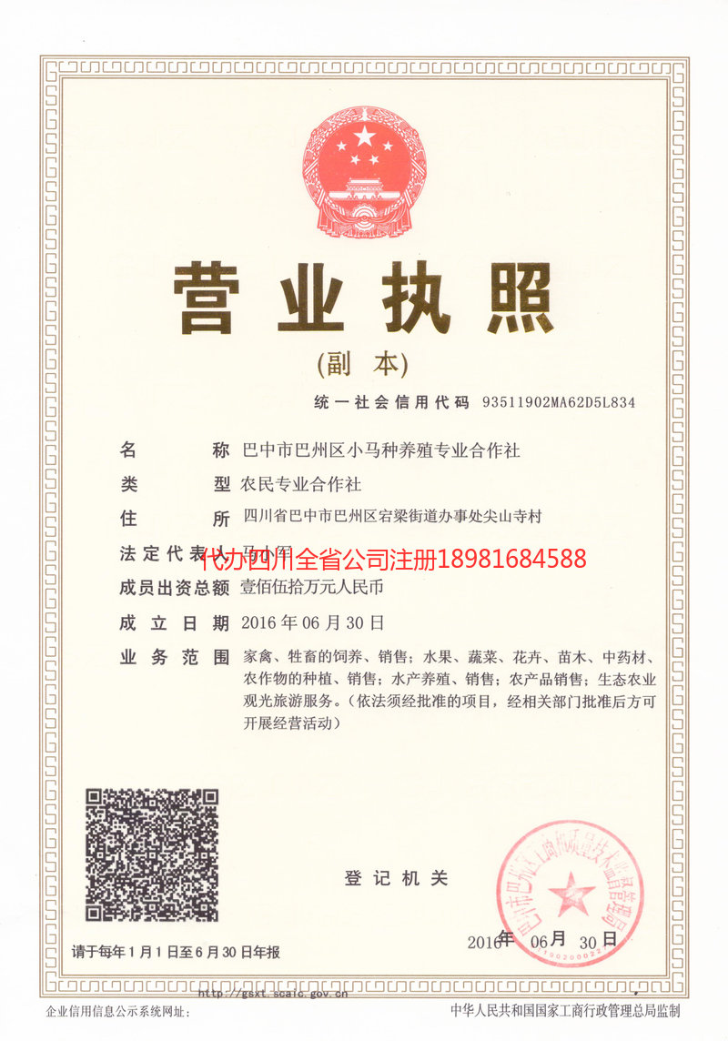 安康安康小马种养殖专业合作社